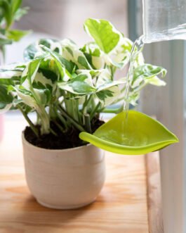 Brand New Plant Watering Funnel