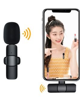 Wireless Portable Microphone