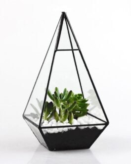 Brand New Pyramid Glass Terrarium