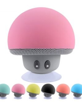 Mini Bluetooth Speaker