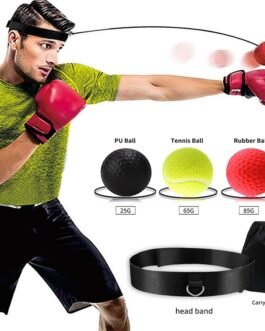 Boxing Reflex Speed Punch Ball